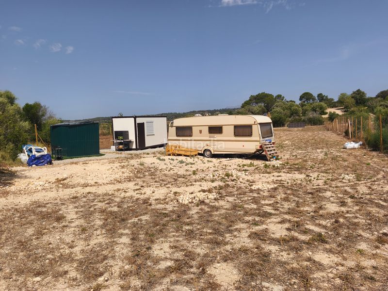 Foto f5e4ea24-437c-4e8f-978a-53dc61f4863a. Finca rústica a Ariany