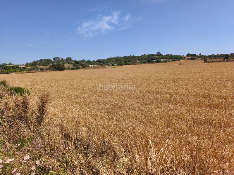 Foto d5d4f21f-19fe-4836-a913-e95bf1801d81. Landgut in Montuïri