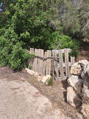 Fondo rustico in Lloret de Vista Alegre. Finca de pinar y garriga