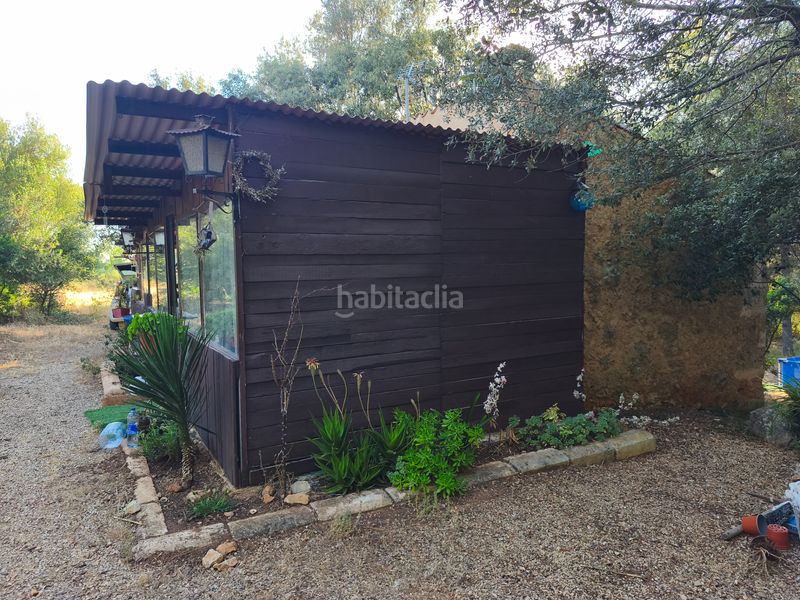 Foto 39722286-56ef-4968-b201-8c63f8b39007. Casa a Algaida