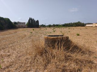 Finca rústica a Algaida