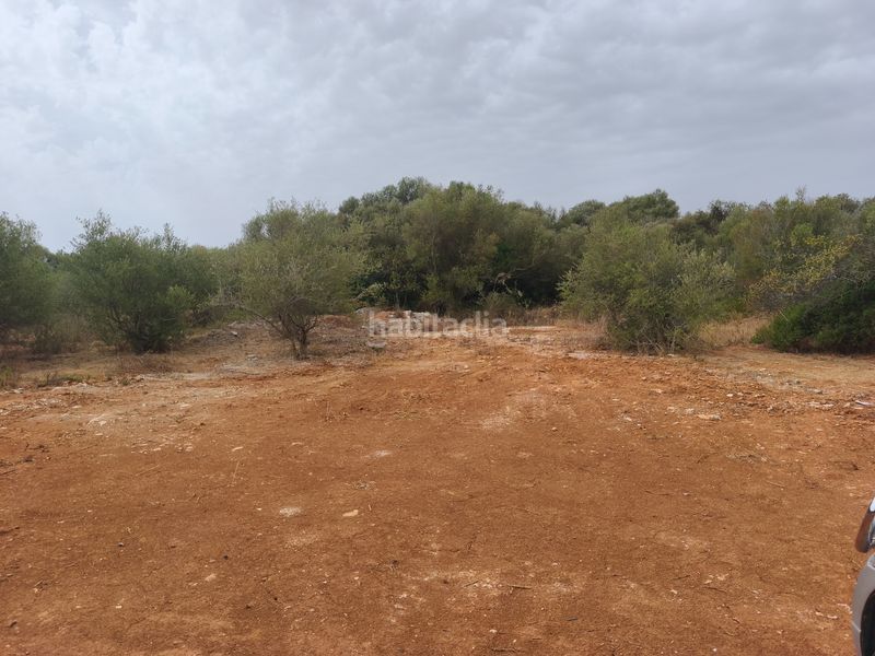Foto 77e77489-16e7-4021-bb4a-6bbc0af4e647. Finca rústica a Muro