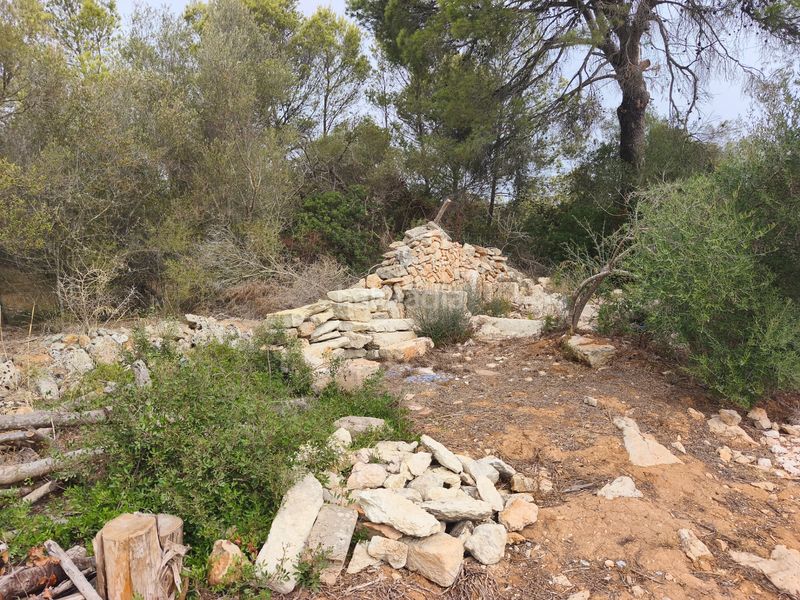 Foto bf73f2e7-aff2-4eb5-bd55-56e1ed3235c0. Finca rústica a Muro