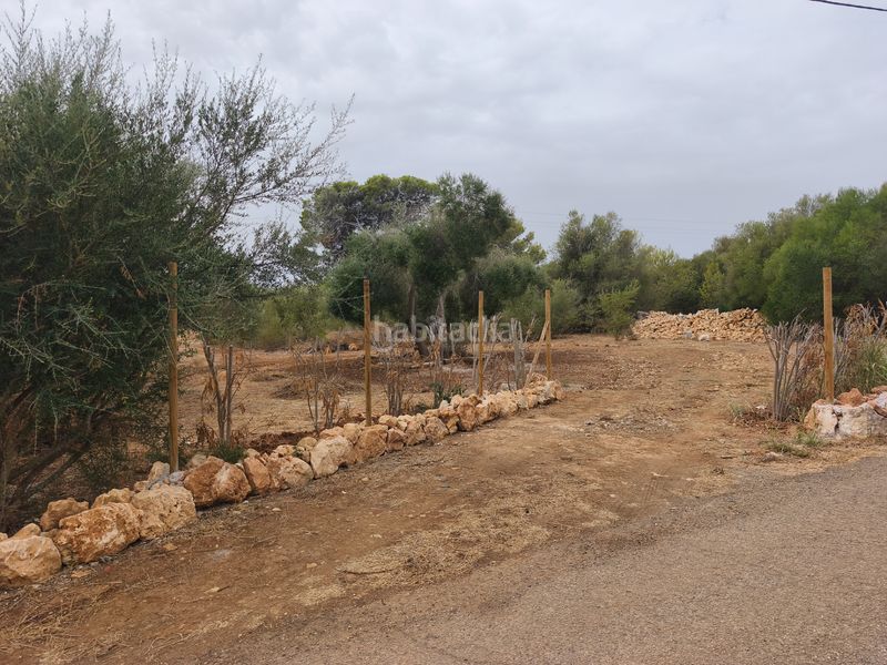 Foto cb2a14f9-4b0b-4b66-aa14-4b00605dca3c. Finca rústica a Muro
