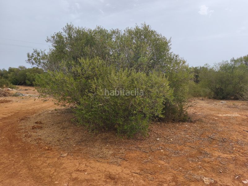 Foto d4ac0cc2-cb55-47a4-ae2e-5dac8c8a1e47. Finca rústica a Muro