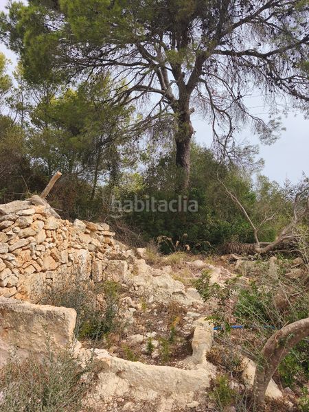 Foto fa4ee8fc-93d3-4bc9-8720-52302707c798. Finca rústica a Muro