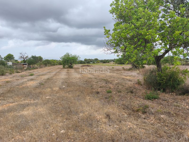 Foto a9002ec2-c76b-4997-b504-23b42f51a8fc. Terreny residencial a Algaida