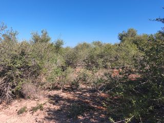 Landgut in Maria de la Salut