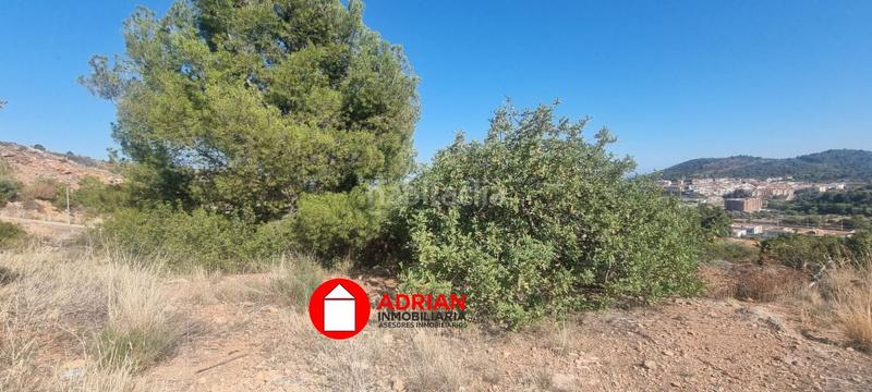 Foto 3444c8c4-ab13-4410-8191-8ede172acef1. Terreny residencial a Vall d´Uixó (la)