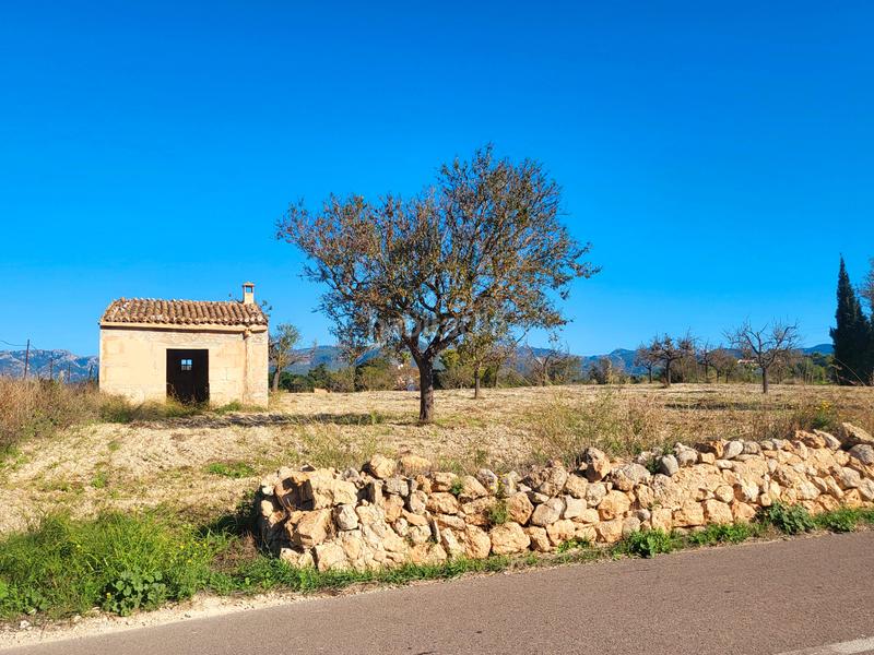 Foto 2640eefc-c4f0-4098-888c-f44329136224. Finca rústica en carrer del pujol 12 finca rustica con casa. en Marratxí