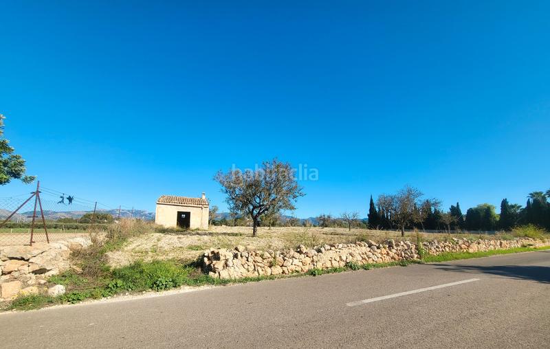Foto 415c8ac9-e07d-471e-8f82-fd25489eebc3. Finca rústica en carrer del pujol 12 finca rustica con casa. en Marratxí