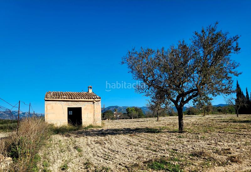 Foto f63ec431-ff69-4cf5-a613-aa68cf1a190b. Finca rústica en carrer del pujol 12 finca rustica con casa. en Marratxí