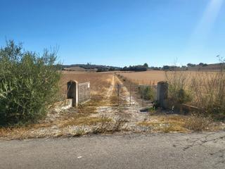 Finca rstica a Ariany. Finca rstica edificable en petra