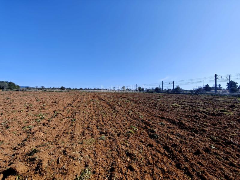 Foto 0386d83b-e318-4524-9baf-dff6c6e36083. Finca rústica terreno edificable en santa maria del cami en Santa María del Camí