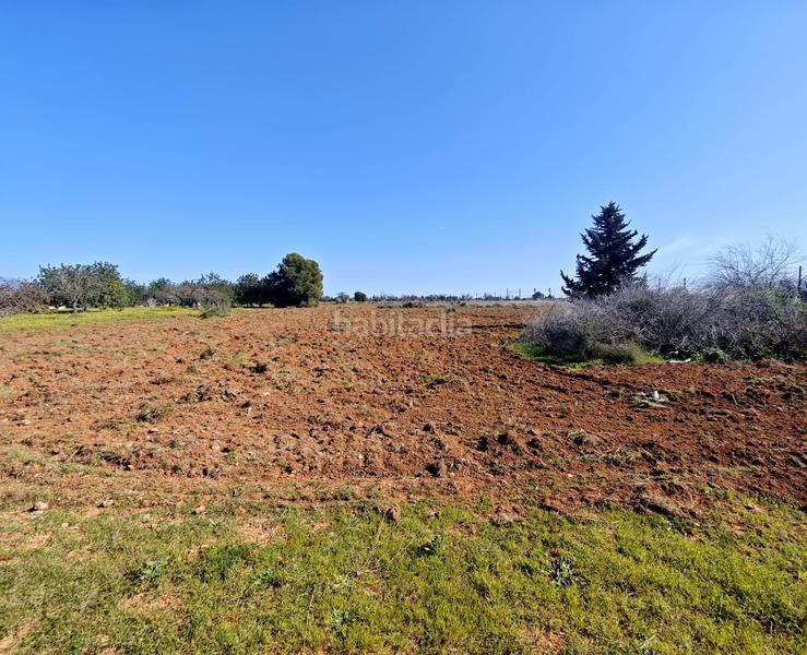 Foto 18028dd3-4f83-4176-8748-42144536fcdd. Finca rústica terreno edificable en santa maria del cami en Santa María del Camí