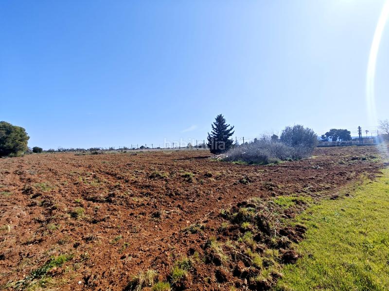 Foto 2c9a539e-a098-4b54-905c-6ebca7eea6f3. Finca rústica terreno edificable en santa maria del cami en Santa María del Camí