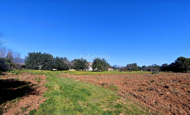 Foto 53e7030a-b8b1-4efd-8830-2773241e3b62. Finca rústica terreno edificable en santa maria del cami en Santa María del Camí