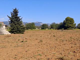 Rural plot in Santa María del Camí. Terreno edificable en santa maria del cami