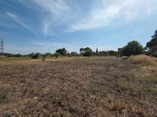 Proprit dans Consell. Solar rstico en consell