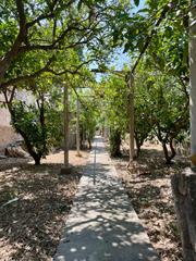 Maison à Consell. Casa malloorquina con jardin de 700m2