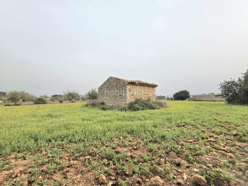 Foto 046ae38d-897a-48f3-8b4c-84584f4de5da. FInca rústica a Zona Periurbana Inca