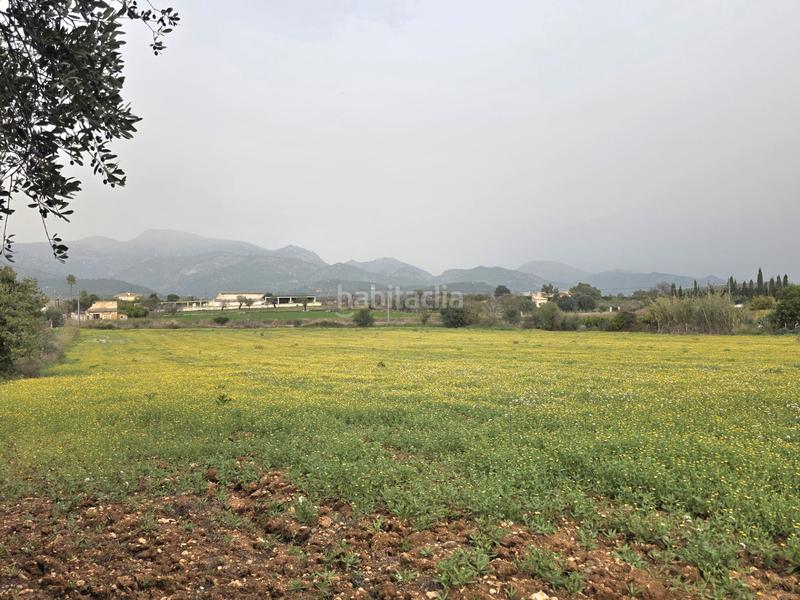 Foto 2b01287b-4ff2-4dc9-9d9f-49ecfe5e63dc. FInca rústica a Zona Periurbana Inca