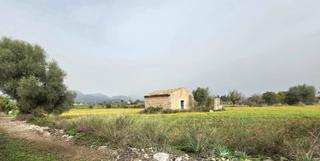 Finca rstica en Zona Periurbana. Terreno con caseta y proyecto de mejoras