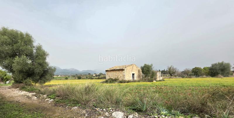 Foto 738d6dd2-1e38-498e-8e2f-986802220109. FInca rústica a Zona Periurbana Inca