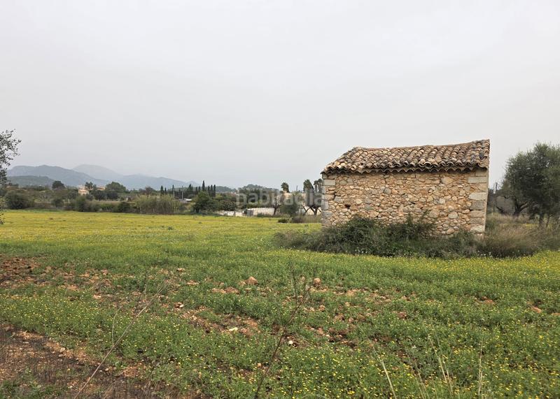 Foto 77986224-6eff-4106-9b7b-c41c4326ad02. FInca rústica a Zona Periurbana Inca