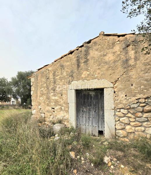 Foto 84dd8784-d024-4dad-8929-d665d4f316b4. FInca rústica a Zona Periurbana Inca