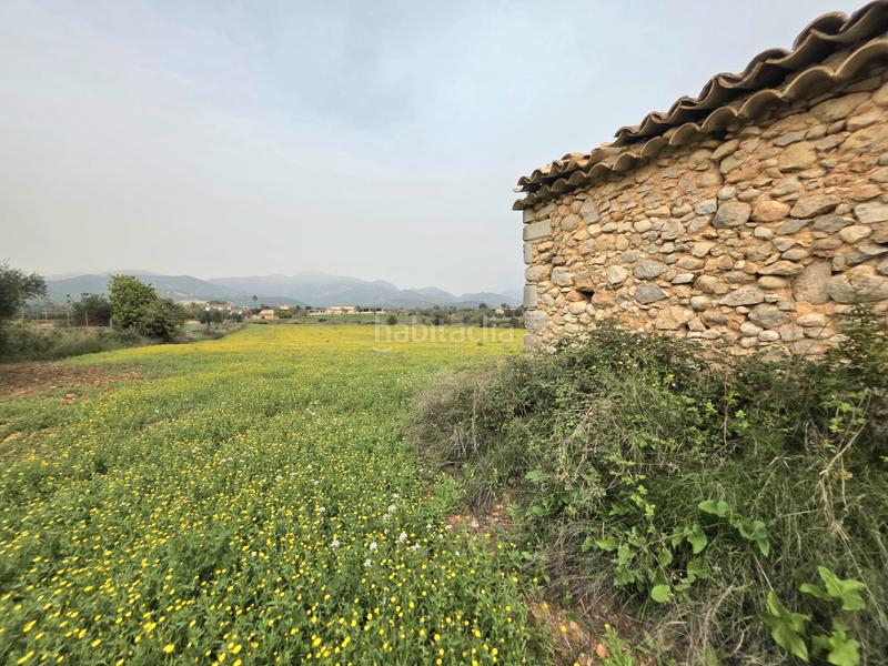 Foto 890bcf89-25c8-4028-bed1-9bd2e37ae5ab. FInca rústica a Zona Periurbana Inca