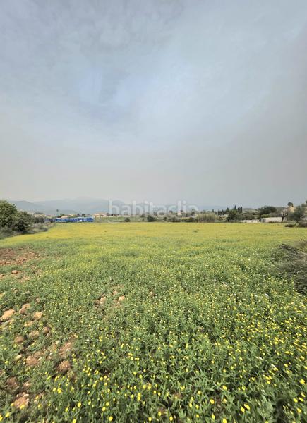 Foto 8aa22d4c-2f8b-44ca-8007-8327faab5b63. FInca rústica a Zona Periurbana Inca