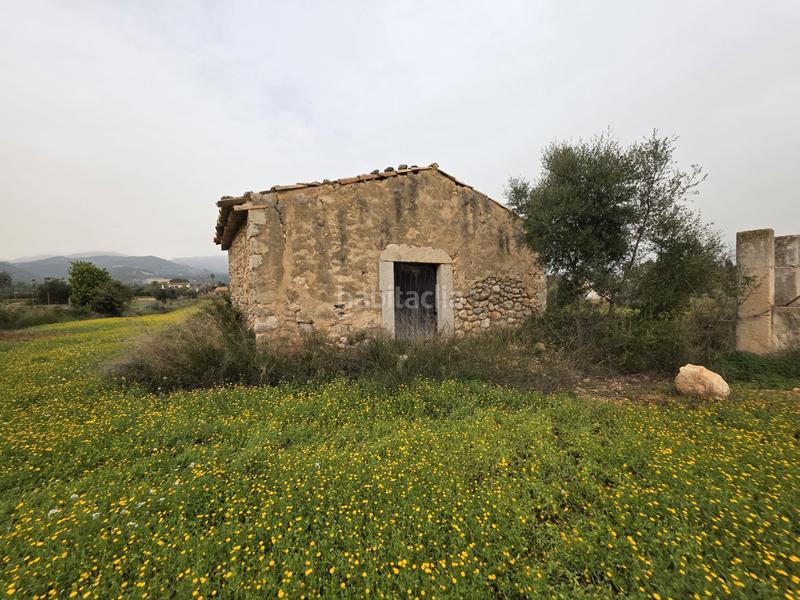 Foto 9c5c9896-d6d0-4ad1-a9ad-03683f469566. FInca rústica a Zona Periurbana Inca