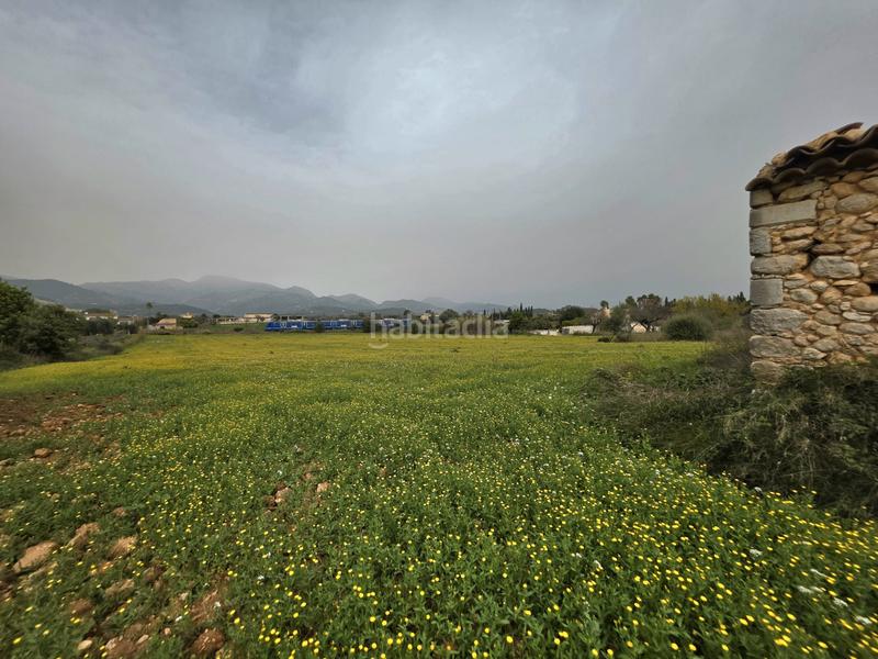 Foto beb78daa-6ebb-41ca-bced-45d4d823d515. FInca rústica a Zona Periurbana Inca