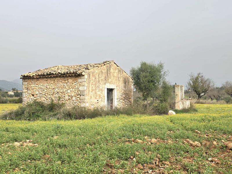 Foto d35abced-1085-48c5-9f59-fc0d8661880a. FInca rústica a Zona Periurbana Inca