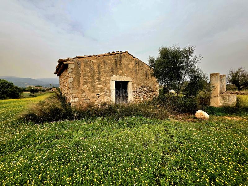 Foto e5ce1145-6c10-4989-9f21-216e8f2bbb88. FInca rústica a Zona Periurbana Inca