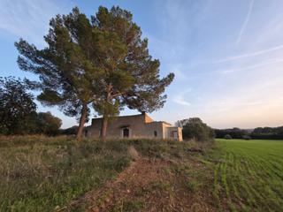 Finca rstica  N/a. Finca rstica en sencelles