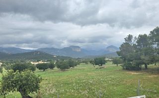 Miete Etagenwohnung  Carrer de son munar. Prime piso en alquiler consell