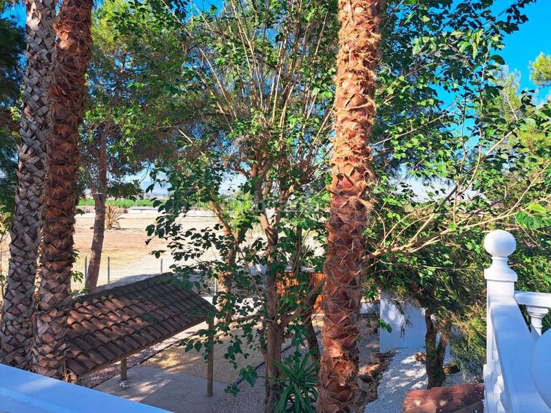 Foto a20569d6-ffd3-4c63-ba6d-e0afbf7bfba0. Chalet avec chauffage parking piscine dans Desamparados - Hurchillo - Torremendo Orihuela