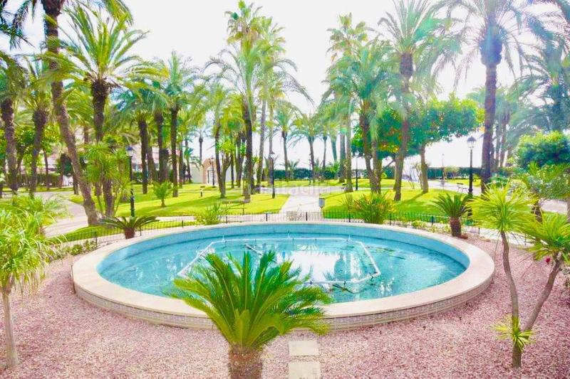 Foto 02fae134-6445-48e8-9e86-4cd9d1dd2fe2. Piso en mariano ruiz canovas 37 piso en venta en playa de los locos el palmeral, 2 dormitorios. en Torrevieja