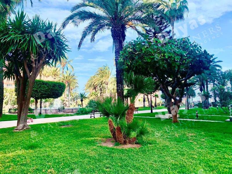 Foto 3713c6df-3369-4793-a590-934eead98baf. Piso en mariano ruiz canovas 37 piso en venta en playa de los locos el palmeral, 2 dormitorios. en Torrevieja