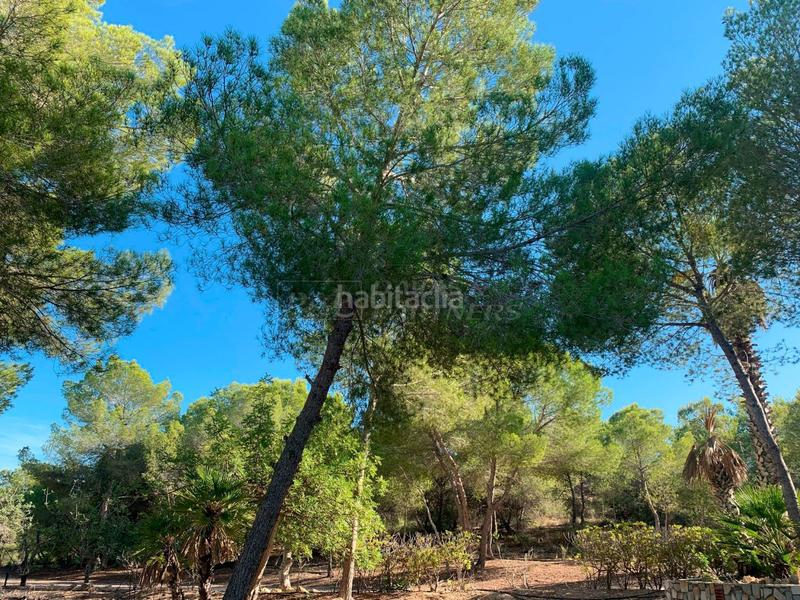 Foto 33000638-7b65-4601-92ef-e8b291fd3709. Casa en garbanzuelo casa en venta costa, 4 dormitorios. en Orihuela