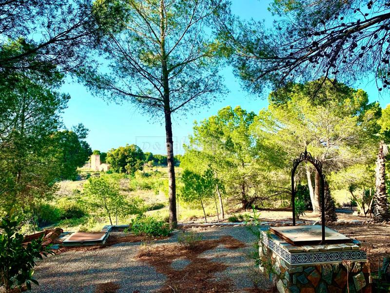 Foto e3d07ff5-4c30-4c72-b01d-06f766ac3465. Casa en garbanzuelo casa en venta costa, 4 dormitorios. en Orihuela
