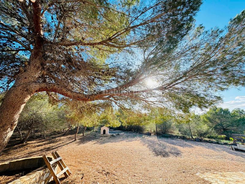 Foto 515fd676-5c17-422d-81b2-eb5f8c7932ab. Masía en garbanzuelo finca rúst. en venta costa, 4 dormitorios. en Orihuela