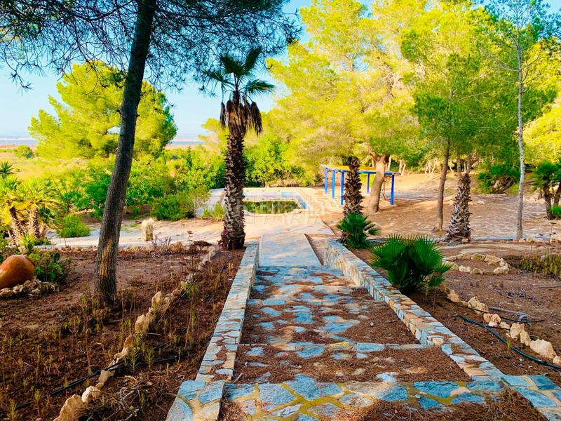 Foto 7e1d5bf1-400f-4ca9-ada7-58784bb63ec3. Masía en garbanzuelo finca rúst. en venta costa, 4 dormitorios. en Orihuela