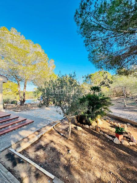 Foto 81f36f0e-1476-4058-afa7-9b94507c8d5d. Masía en garbanzuelo finca rúst. en venta costa, 4 dormitorios. en Orihuela