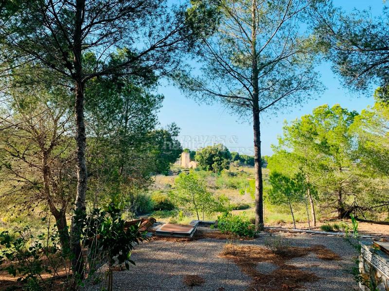 Foto a0e0deb1-4418-49d4-8194-9e55adf716e1. Masía en garbanzuelo finca rúst. en venta costa, 4 dormitorios. en Orihuela