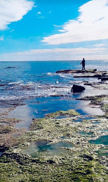 Foto e831283e-67f8-4538-b06e-c23d3fc3c69c. Masía en garbanzuelo finca rúst. en venta costa, 4 dormitorios. en Orihuela