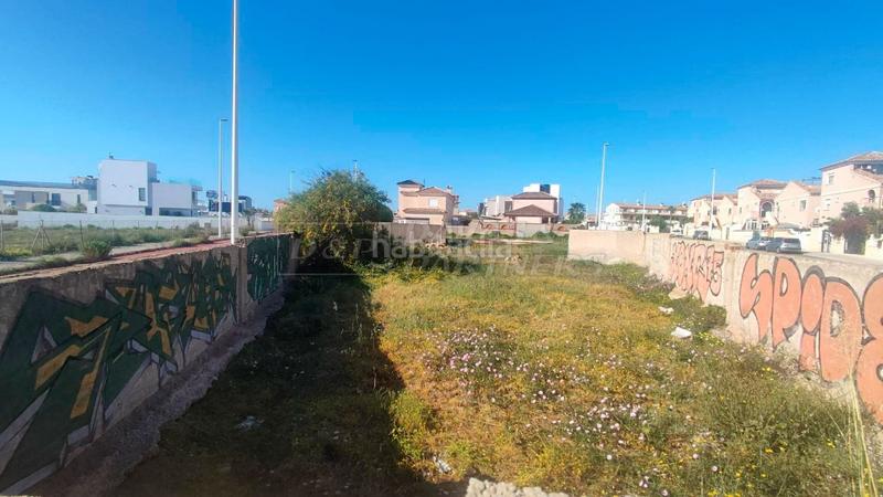 Foto 8226a5be-4b78-4043-a589-d9f4891d4646. Terreny residencial a La Regia Orihuela