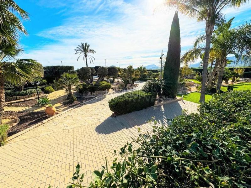 Foto 1d4cd26d-06aa-4593-805e-3147abb95c9a. Chalet villa en venta en centro, 5 dormitorios. en Orihuela